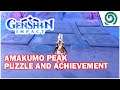 【GENSHIN IMPACT】 Amakumo Peak Puzzle and Achievement