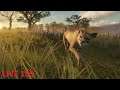 THE HUNTER - CALL OF THE WILD LIVE 109 REDIFFUSION 02/07/2020- LET'S PLAY FR PAR DEASO