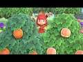 Animal Crossing: New Horizons [Day 178]