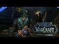 Тот самый великий Паладин домагер в Холи 8.2 World of Warcraft Battle for Azeroth