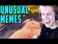 xQc Reacts to UNUSUAL MEMES COMPILATION V105 & Daily Dose of Internet! | xQcOW