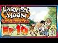 It is Summer and We Have Fruit in Our Trees!! - Harvest Moon Another Wonderful Life