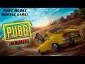 PUBG MOBILE LIVE || MEMBER GAMES 🤩