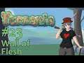 Let's Play Terraria - 23 - Wall of Flesh