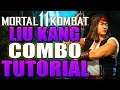 Mortal Kombat 11 Liu Kang Combo Tutorial - Liu Kang Uppercut Krushing Blow Combo Guide Daryus P