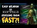 New World - EASY WEAPON LEVEL FARM! LEVEL WEAPONS FAST FOR LOWER LEVELS!