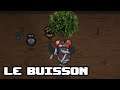 Le buisson - Afterbirth +