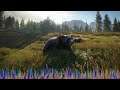 MichaelTheArch Live On YT! with theHunter Call Of The Wild