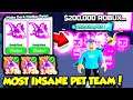 Spending $200,000 ROBUX To Get AN INSANE PET TEAM In Pet Simulator X!! (Roblox)