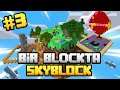 1 BLOKTA SKYBLOCK #3 / Sınırsız Kaynaklı Skyblock