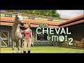 [360] Introduction du jeu "Mon Cheval et Moi 2" de l'editeur Tate Interactive (2008)