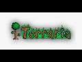 Terraria (mic on also)