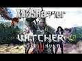 The Witcher 3 - Ведьмак 3 - Прохождение за мага ч.40
