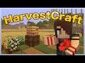 Pam's HarvestCraft 1.15.2 EP17: BEES
