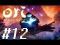 Ori and the Blind Forest [LET'S PLAY/PLAYTHROUGH/PC GAMEPLAY] - Part 12: Protect At All Costs