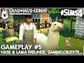Landhaus Leben 💚 GAMEPLAY #5 mit Tierfreundschaften System und Sammelobjekten (deutsch)