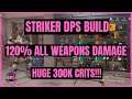 The Division 2 - Best DPS Striker Build! 120% All Weapons Damage + 100% Stability!!