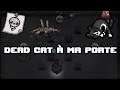 Dead Cat à ma porte - Afterbirth + (The Lost Streak)