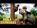 Planet Zoo 2021 - Koala Baumhaus - 3