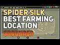Best Spider Silk Farming Location Grounded