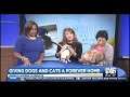 Angels Among Us with Misty Lou & Leang on CBS 46