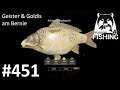 Geister & Goldis am Bernsteinsee | #RF4 | Russian Fishing 4 #451 | Deutsch | UwF