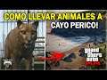 COMO SER UN ANIMAL EN CAYO PERICO EN GTA V ONLINE