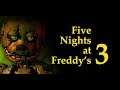 FIVE NIGHTS AT FREDDY'S 3 |  (MATURE AUDIENCES 18+)