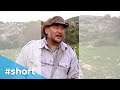 Regreening the Desert | VPRO Documentary #short