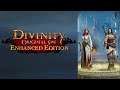 Divinity: Original Sin EE - Часть 6 (Двое против Всех)
