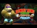 Donkey Kong Country Tropical Freeze | 🎶 Funky Mode 🎶 | World 1