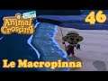 Le Macropinna - Animal Crossing New Horizons