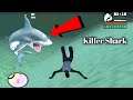 Secret Biggest Shark in GTA San Andreas (Secret Place) || GTA San New Cheats Code 2021