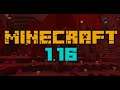Minecraft 1.16.5 #3