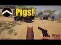 Pigs! | Straya gameplay