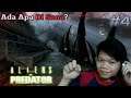 Piramid Yg Di Penuhi ALIENS - Aliens Vs Predator Malaysia | Sabahan Gamer (Part 4)