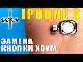 IPHONE 6 / ЗАМЕНА КНОПКИ HOME / РЕМОНТ ТЕЛЕФОНОВ