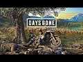 Days Gone - PC Gameplay Walkthrough PART 5 [HD60FPS]