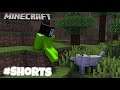 Minecraft Shorts Getting A Doggy!