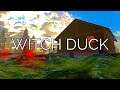 WITCH DUCK - EACH OF THE WITCHES HAVE THEIR HOUSE. BUT I'M NOT ALONE, THERE IS SOMETHING OUT THERE