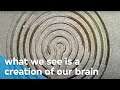 Our brain is a prediction machine (Big Questions 1/8) | VPRO Documentary