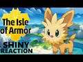 SQUARE SHINY LILLIPUP IN 842 RANDOM ENCOUNTERS| Pokemon Isle Of Armor Shiny Reaction