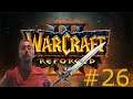 Zagrajmy w Warcraft 3 Reforged #26 - Kampania Nocnych Elfów