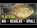 Assassin's Creed Valhalla - Flatfish Fish Locations (Big - Regular - Small)