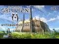 Oblivion Интерактив со зрителями TES с Kwei, ч.21