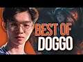 Doggo "PRO ADC MAIN" Montage | League of Legends