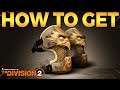 The Division 2 | How to get Sawyers Exotic Kneepads (Review & Gameplay)