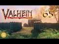 Valheim - Palisaden Bau #65 🪓 Let's Play Gameplay Deutsch