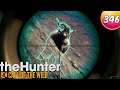 The Hunter Call Of The Wild #346 - Kletterziegen [Gameplay | Deutsch]