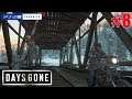 #8 [Days Gone][PS4PRO] 待望のゾンビサバイバルゲームを遊ぶ！